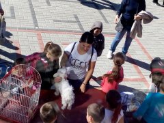 IMG_20191009_132735.jpg